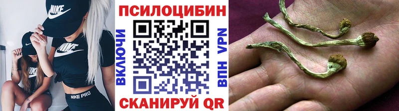 ссылка на мегу ссылка  Славск  Псилоцибиновые грибы ЛСД  закладки 